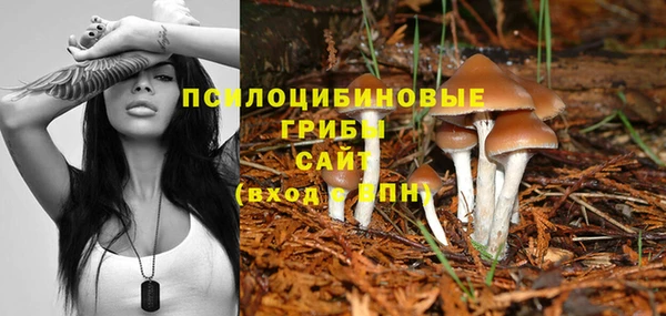 экстази Вяземский