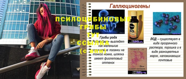 бутират Гусь-Хрустальный