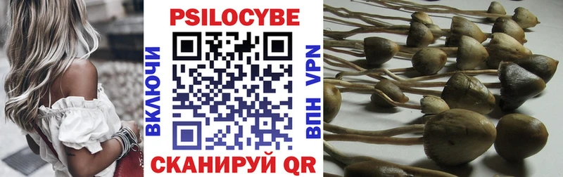 Галлюциногенные грибы Cubensis  Купить закладки  Отрадный 
