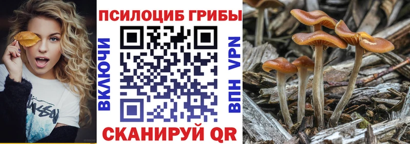 Галлюциногенные грибы мухоморы Отрадный